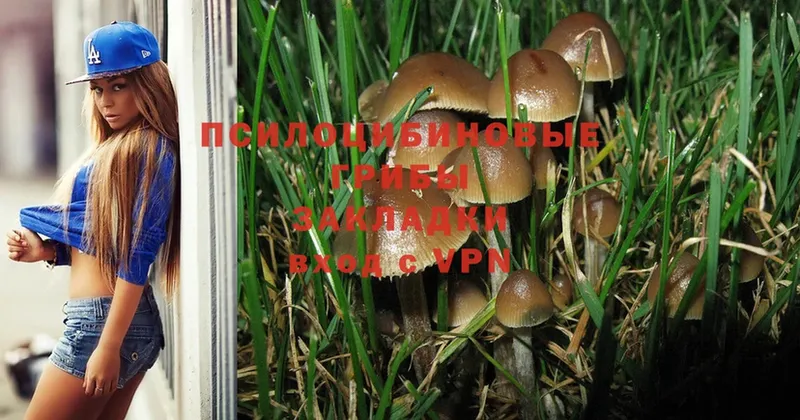 цены   Короча  Галлюциногенные грибы MAGIC MUSHROOMS 